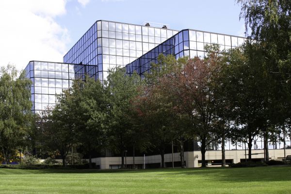 Commercial Tree Trimming in Lithonia
